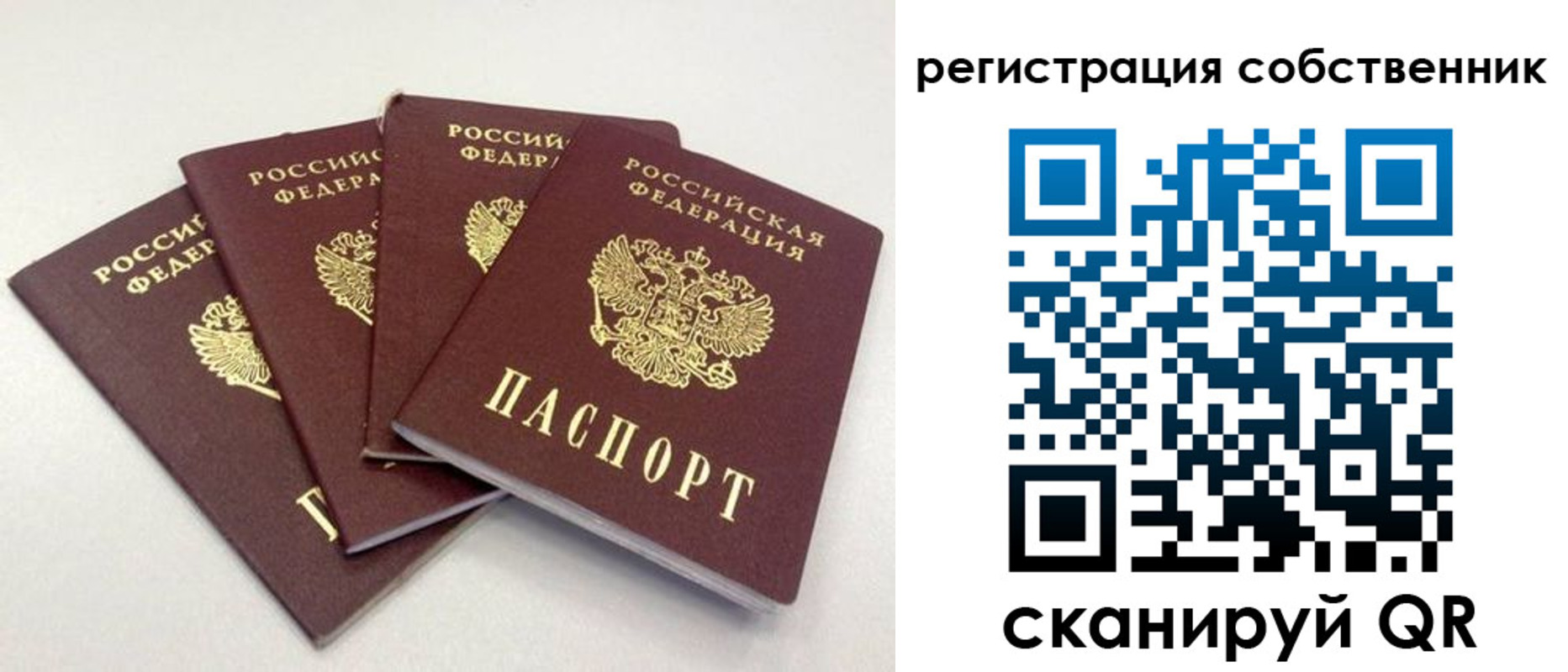 прописка для школы в Навашино